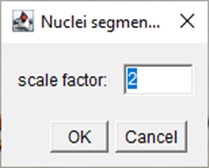 nscale-segmentation-2.jpg